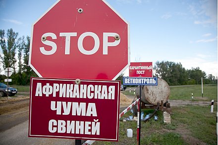 Здоровье животных  зависит от их владельцев