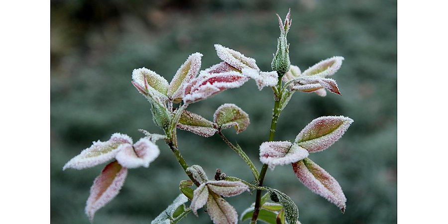 Последние теплые дни: резкое похолодание и снег. Погода 14-16 ноября