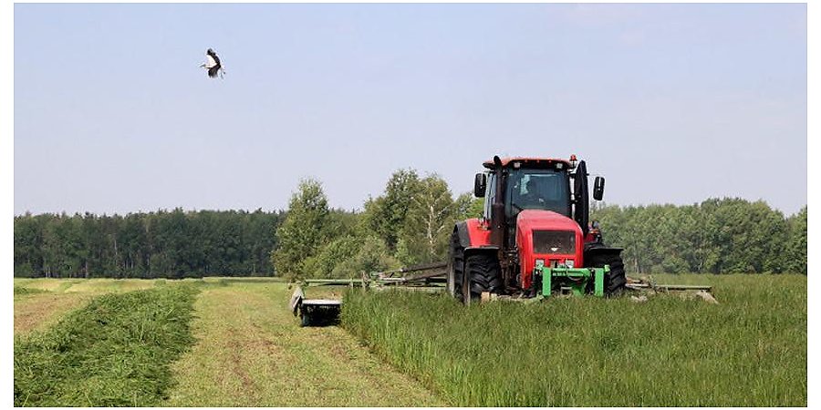 В Беларуси травы первого укоса скошены на более чем 1 млн га