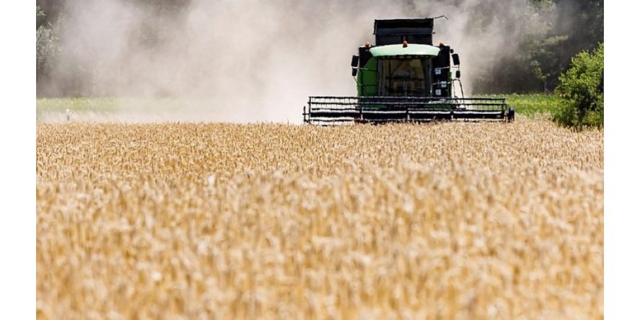 Вопросы хода подготовки к уборке и уборочной кампании были рассмотрены на заседании коллегии Комитета государственного контроля Гродненской области.