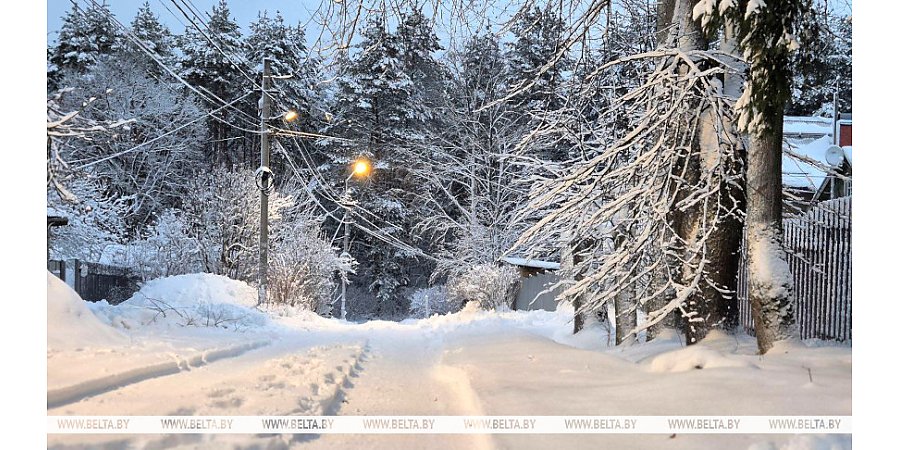 Снег и гололедицу прогнозируют синоптики в Беларуси 29 декабря