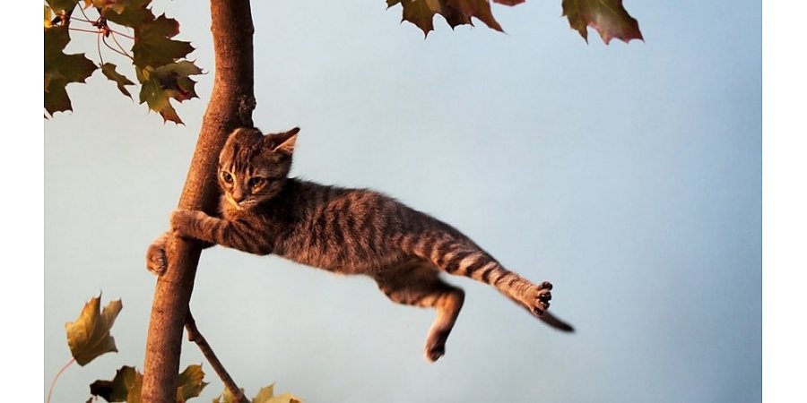 Оранжевый уровень опасности объявлен в Беларуси 1 мая из-за усиления ветра