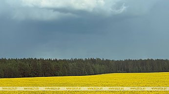 Дожди на большей части территории. Какой будет погода 26 мая