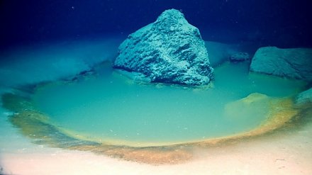 На дне Красного моря нашли глубоководные бассейны с «рассолом»