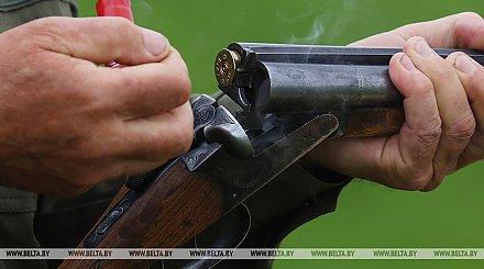 Сезон охоты на бекаса стартовал в Беларуси