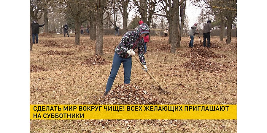 В Беларуси проводится субботник – желающим помочь коммунальные службы выдадут инвентарь