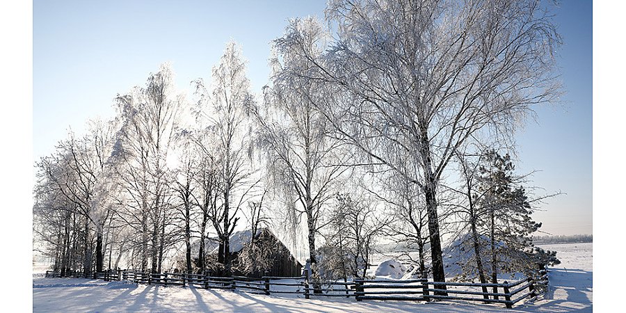 Гололедица и до -16°С. Какой будет погода в Беларуси сегодня