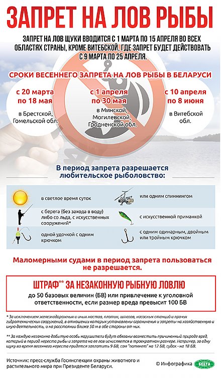Инфографика: Запрет на лов рыбы
