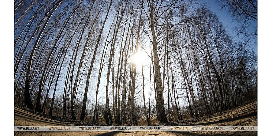 В Беларуси 26 марта пройдет экологическая акция "Час Земли"
