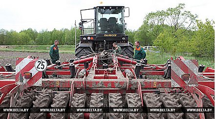 Порядок и условия стимулирования предпринимательской деятельности на селе совершенствуются в Беларуси