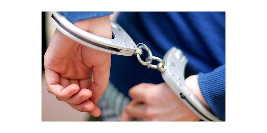 Житель Сморгони выращивал коноплю на участке