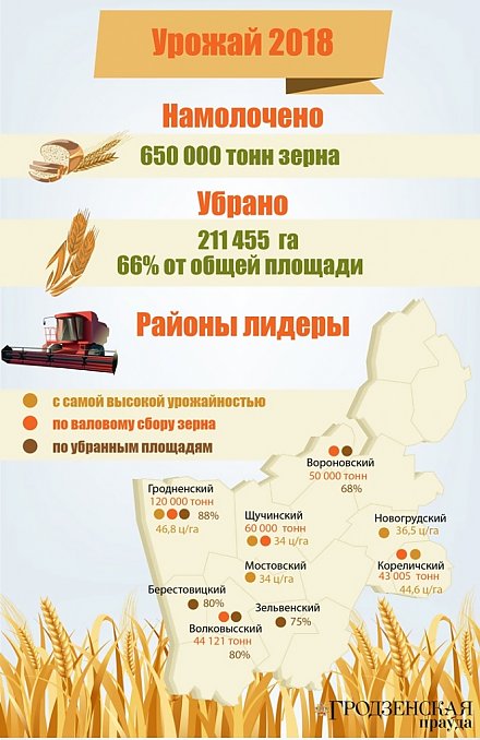 Зерновые и зернобобовые культуры убраны в области на 2/3 посевов