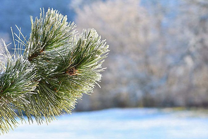Испеките блины с «секретом»: народные приметы на 15 февраля 2026