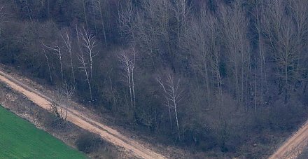 Литва начинает строить 100 км патрульной дороги вдоль границы с Беларусью