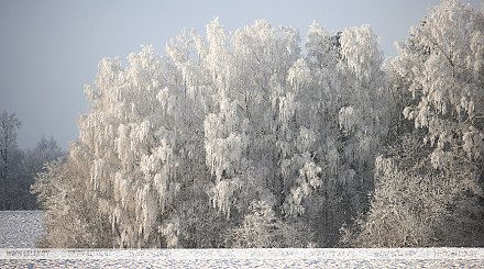 Оранжевый уровень опасности объявлен в Беларуси на 12 декабря