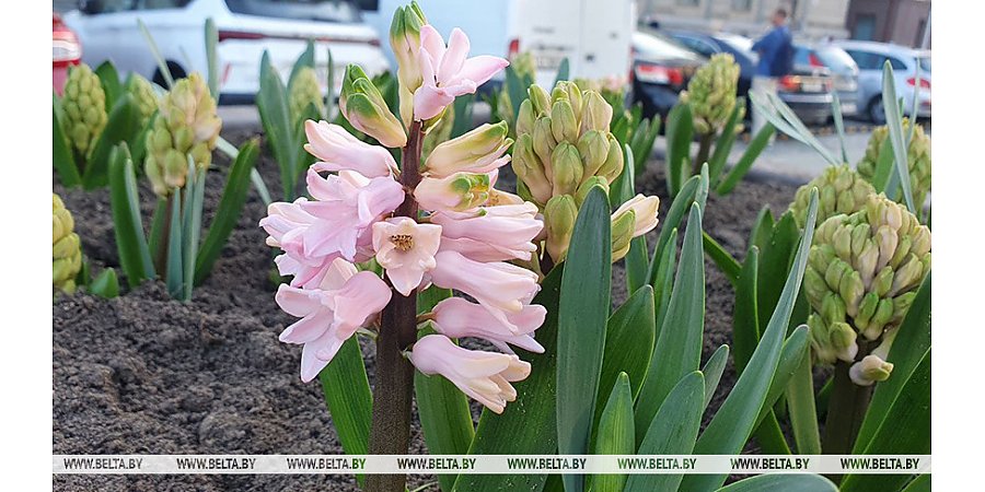 Сильный ветер и дожди прогнозируются сегодня в Беларуси