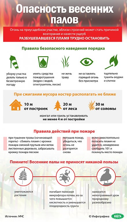 Опасность весенних палов: правила безопасного наведения порядка