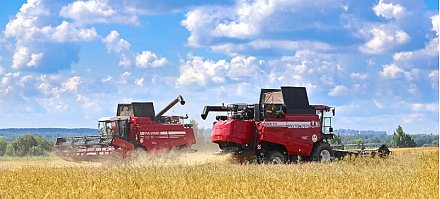 Почему ­­Президент в вопросе уборки урожая настоятельно требует от аграриев качества