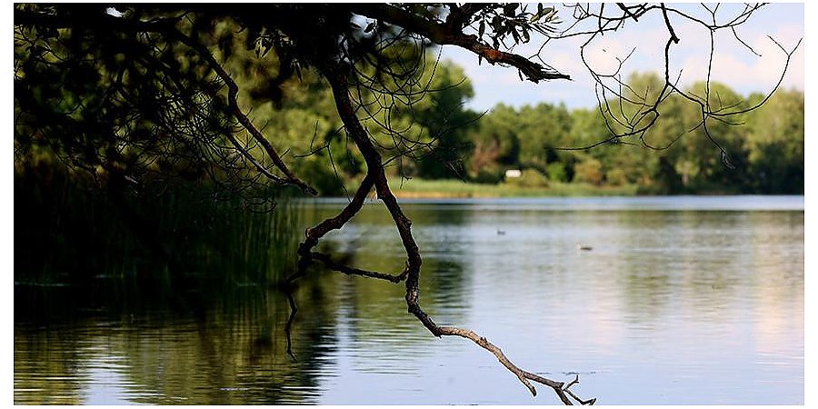 Восемь человек утонули за минувшие сутки в Беларуси
