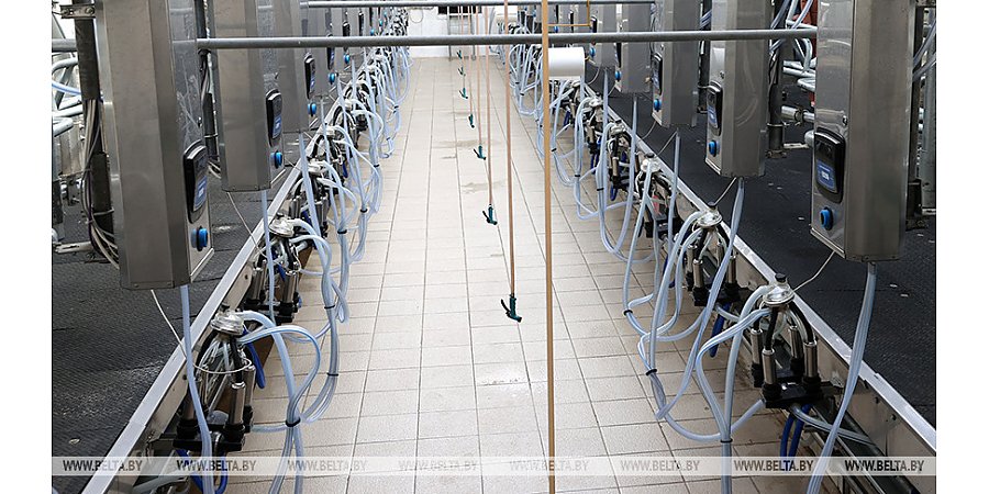 #НАШАЛЕПШАЕ #НАШЕЛУЧШЕЕ. В Беларуси с господдержкой построят 60 молочно-товарных комплексов в 2025-2026 годах