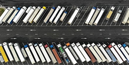 Эксперт назвала перспективные направления экспорта белорусской продукции