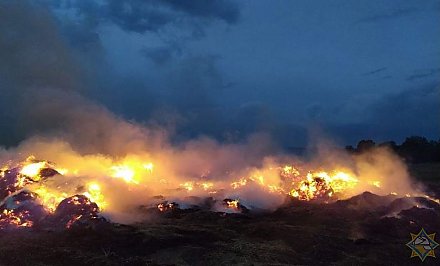 В Новогрудском районе девочка из интереса подожгла сено - сгорело 60 тонн