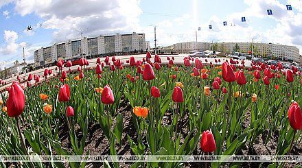 На "Славянский базар" без визы: в ГПК уточнили правила въезда для участников и гостей форума