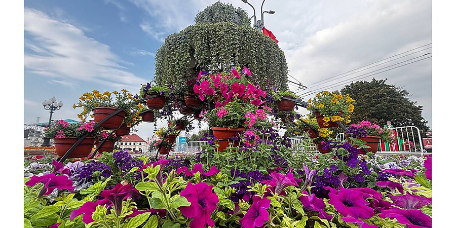 Фонтан из цветов появился в Гродно ко Дню города