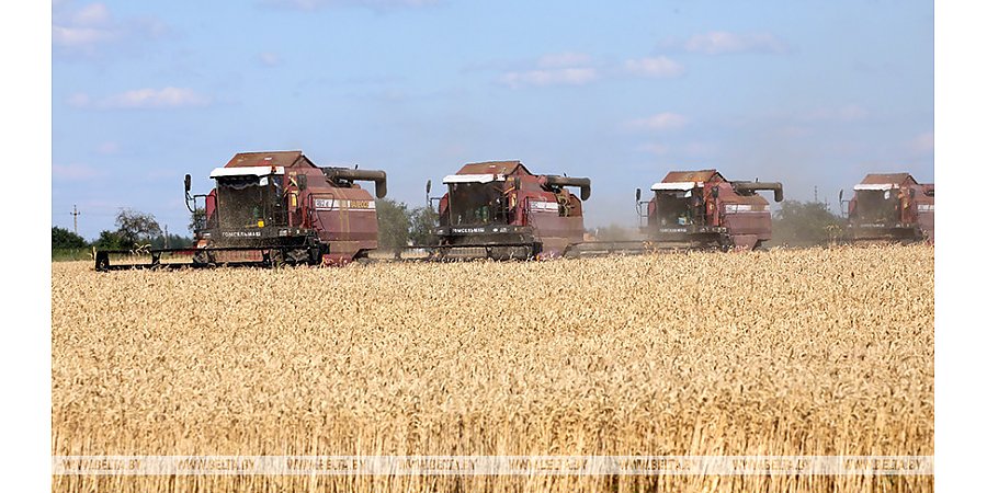 На контроле сохранность урожая и оказание помощи населению в уборке
