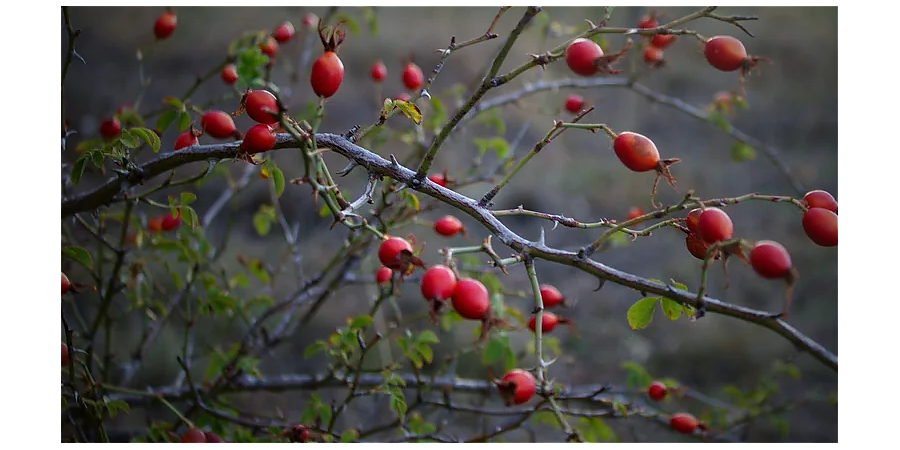 Народные приметы на 1 октября: что можно и нельзя делать в этот день