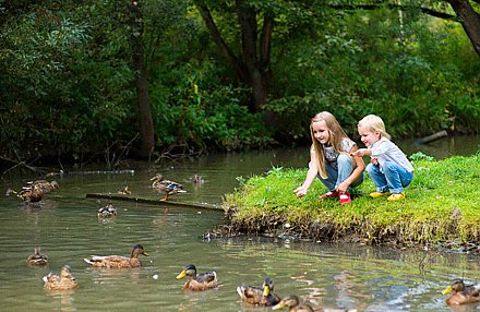 Летом традиционно обостряется проблема гибели и травмирования детей