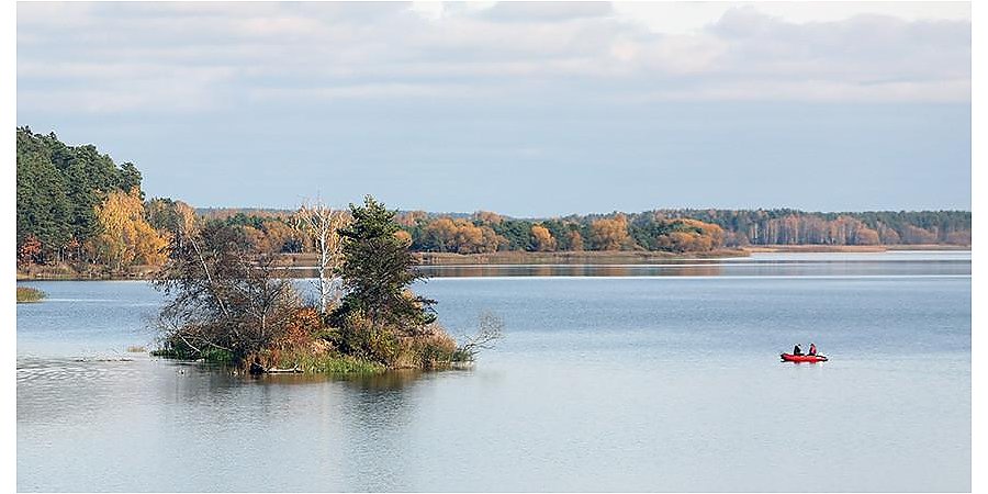 Запрет на лов сома и чудского сига вводится в Беларуси с 1 ноября