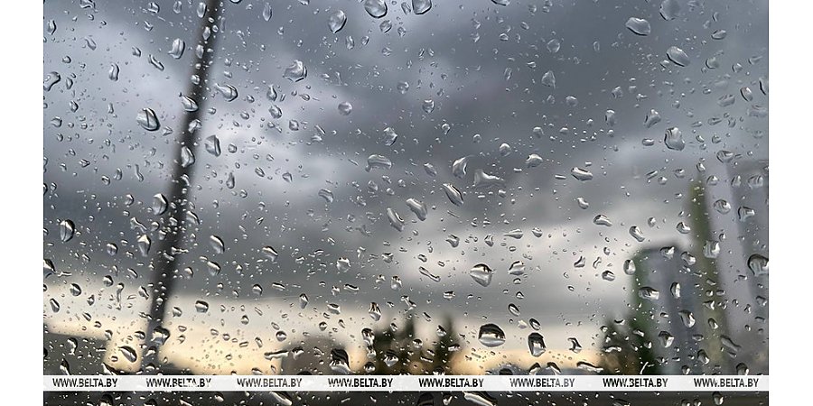 Дождливо и до +12°С будет в Беларуси 14 ноября 