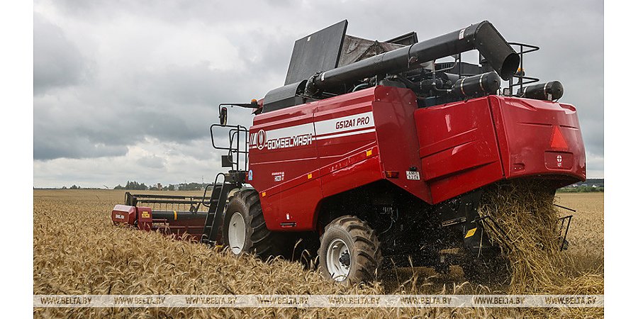 Озимый рапс на зерно убрали с более чем 92% площадей