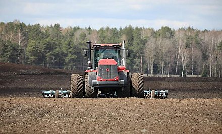 Этой весной сельхозпредприятиям предстоит посеять 159,6 тысячи тонн семян зерновых и зернобобовых культур