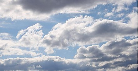 Противодействие изменению климата обсудили на Форуме регионов Беларуси и России