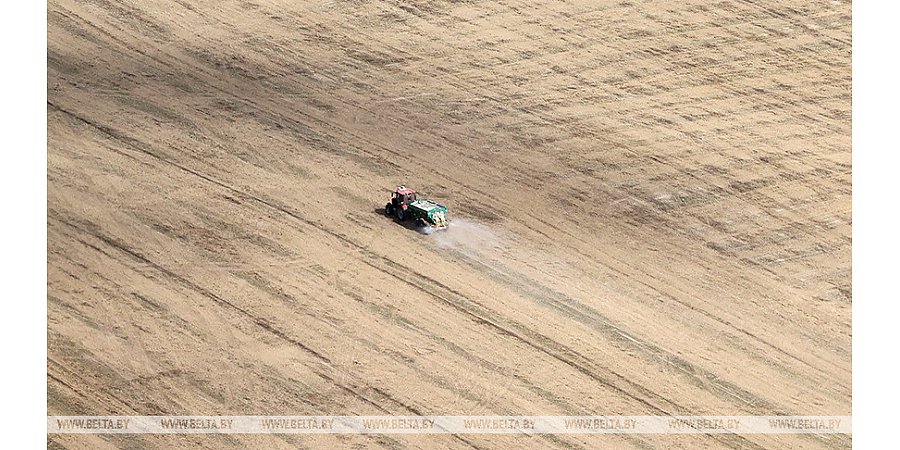 Сев ранних яровых в Беларуси планируется завершить до 25 апреля