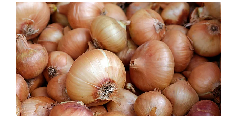 Стоило крепко запереть входную дверь: народные приметы на 31 октября