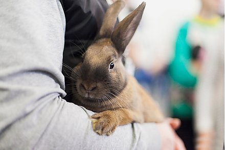 Почувствуй жизнь природы!