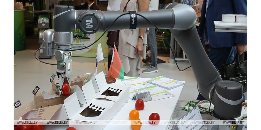 Выставка-форум IТ-Академграда "Искусственный интеллект в Беларуси" пройдет 13-14 октября в НАН