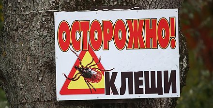 Заболеваемость болезнью Лайма в Беларуси выросла в 1,4 раза