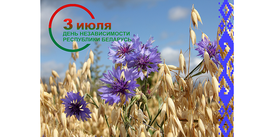 Поздравление депутата Палаты представителей Национального собрания Республики Беларусь Надежды Хальцовой жителей Вороновского района с Днем Независимости!