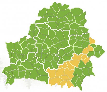 В Гродненской области сняты запреты и ограничения на посещение лесов