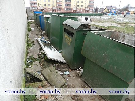 Встретим ли зиму порядком?