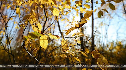 В Беларуси 28 октября похолодает