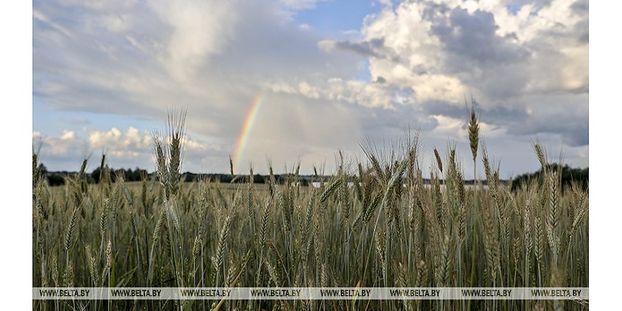 Euronews: санкции Запада привели к дефициту удобрений, миру грозит продовольственный кризис