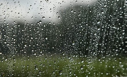 В Беларуси за июнь и июль выпало осадков на треть больше нормы
