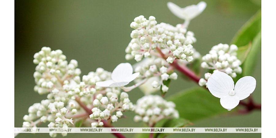Неспокойный и жаркий характер погоды обещают синоптики на последней неделе июля