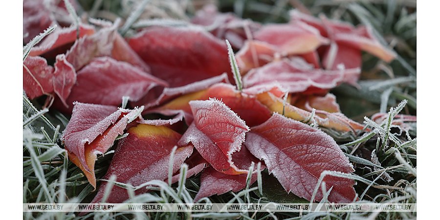 Местами - слабый гололед и порывистый ветер. Какой будет погода в Беларуси 22 октября