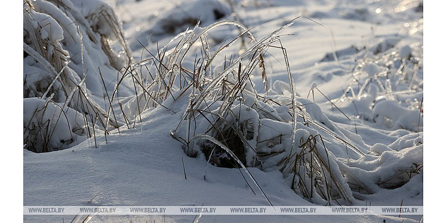 Сильный ветер и снег ожидаются в Беларуси 28 ноября